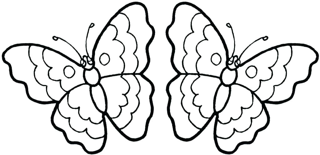 1024x498 Butterfly Coloring Pages For Adults Butterflies Coloring Pages