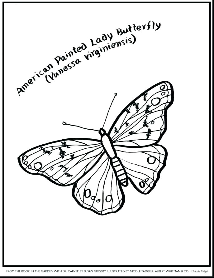 687x890 Caterpillar Coloring Pages Very Hungry Caterpillar Coloring Pages