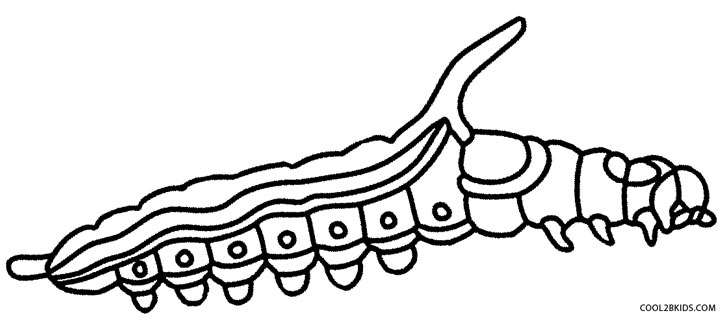 728x325 Printable Caterpillar Coloring Pages For Kids