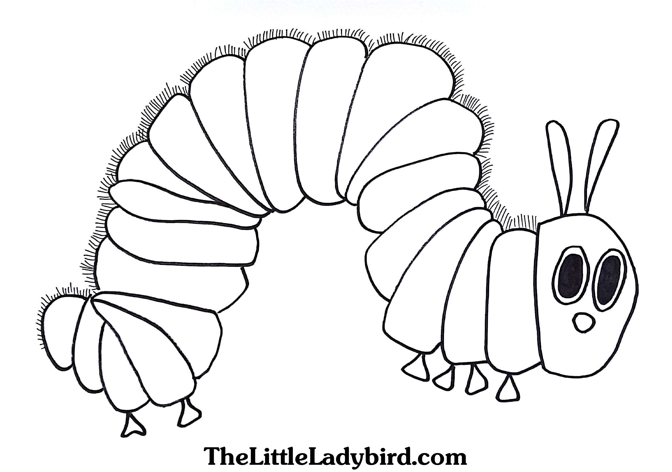 2230x1566 Best Very Hungry Caterpillar Coloring Pages Free Download