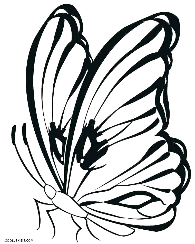 760x950 Butterflies Coloring Pages Classy Printable Butterfly Coloring