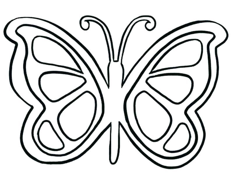 800x635 Terrific Free Butterfly Coloring Pages Fly Coloring Page House Fly