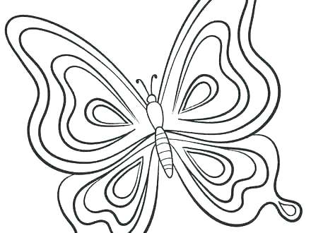 440x330 Butterfly Coloring Pages For Adults Plus X Butterfly Coloring
