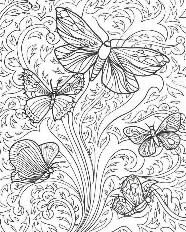 602x750 Adult Coloring Pages Butterflies