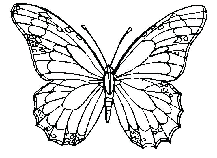 752x548 Monarch Butterfly Coloring Pages Free