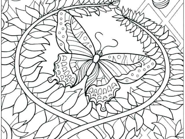 640x480 Butterfly Color Sheets Monarch Butterfly Coloring Pages Printable