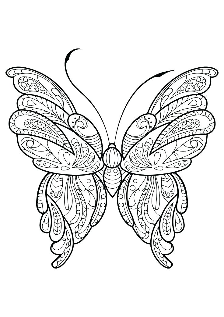 736x1040 Butterfly Coloring Book Also Butterflies Coloring Book Adult