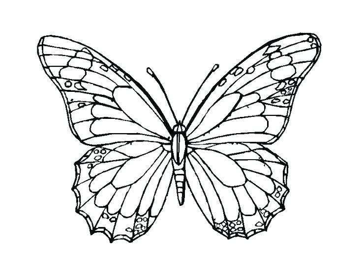 736x568 Mosaic Coloring Pages Free Mosaic Coloring Pages Butterfly Color