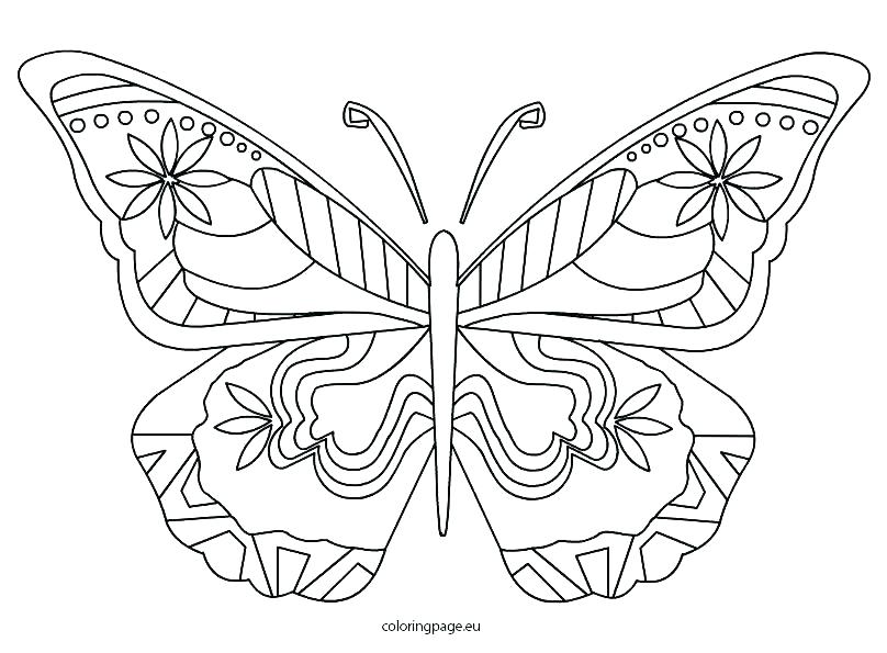 Butterfly Coloring Pages For Kids at GetDrawings.com ...