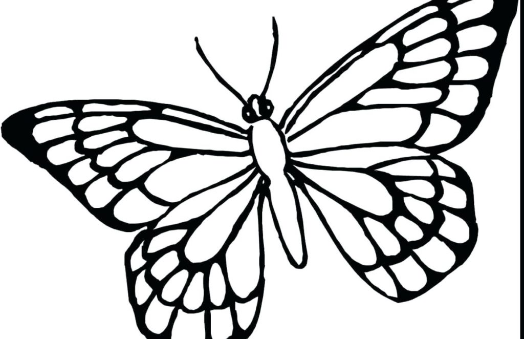 1024x662 Coloring Page Butterfly Coloring Pages Printable And For Kids