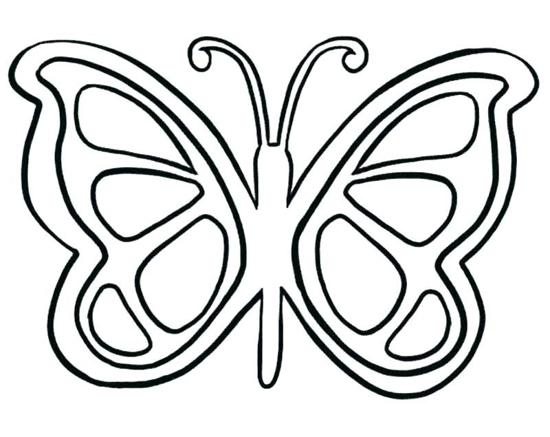 800x635 Butterfly Colouring Pages For Adults Beautiful Coloring Preschool