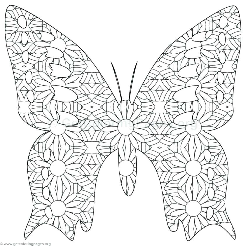 843x843 Butterfly Coloring Pages Preschool Coloring Pages