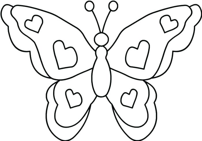 700x487 Butterfly Color Page Butterfly Coloring Page Butterfly Life Cycle