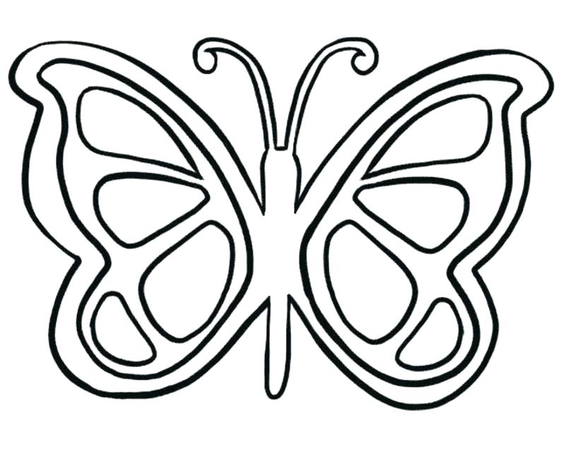 800x635 Butterfly Coloring Pages For Adults Printable Children Butterfly