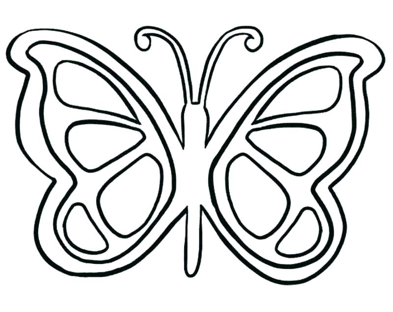 800x635 Coloring Page Of Butterfly