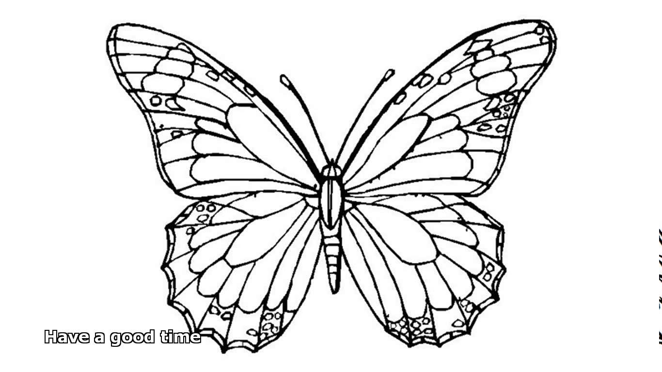 1366x768 Willpower Picture Of A Butterfly To Color Crea