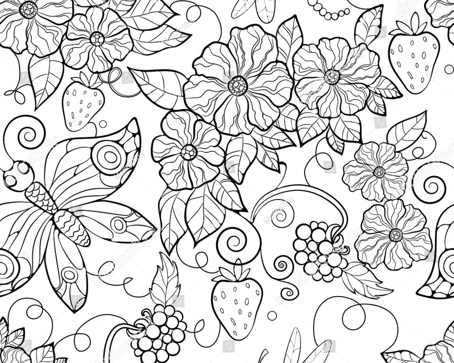 1500x1200 Butterflies And Flowers Coloring Sheet To Print Free Printable