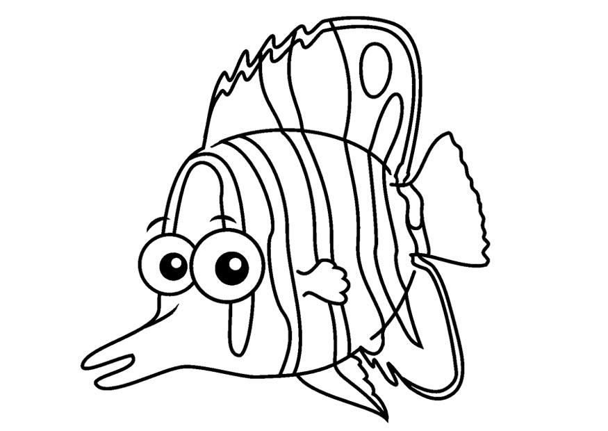 875x620 Coloring Page Butterflyfish