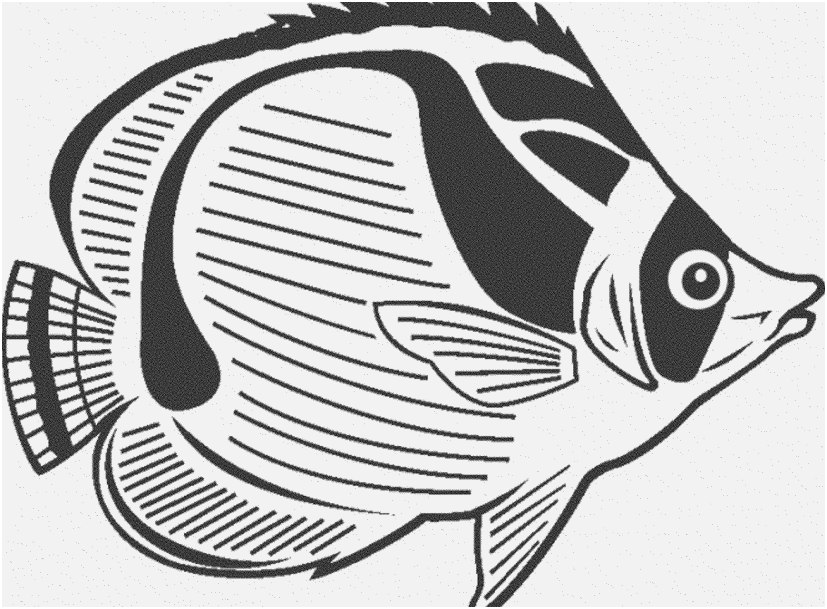 827x609 Fish Coloring Pages Pdf Design Print Download Cute And Educative