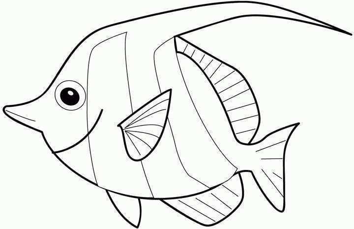 720x465 Gill Fish Coloring Pages Coloring Pages