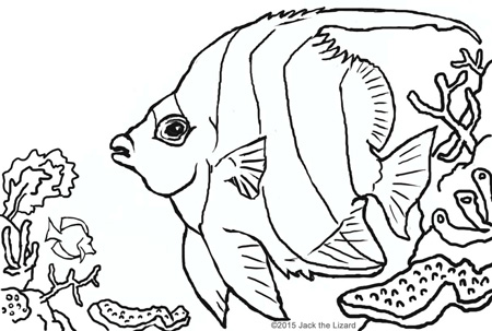450x303 Animal Coloring Pages