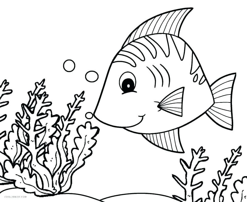 970x794 Realistic Fish Coloring Pages Tropical Fish Coloring Pages