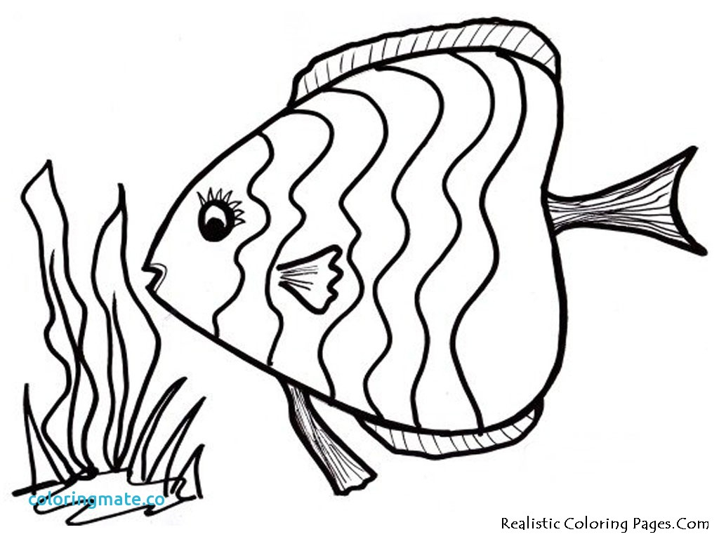 1024x768 Tropical Fish Coloring Pages Coloring Page Fish Unique Tropical