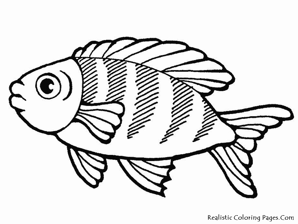 1024x768 Best Of Sea Fish Coloring Pages Free Coloring Pages Download