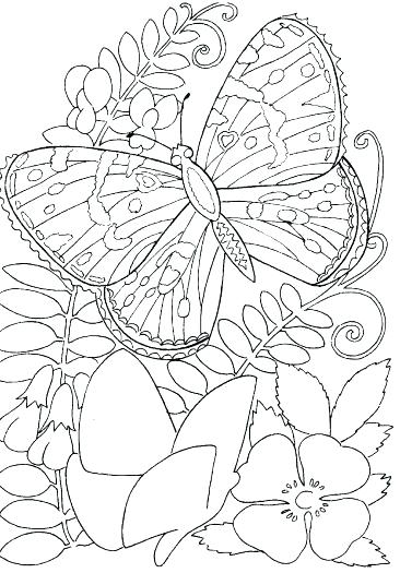 366x525 Coloring Pages Flower Flower Coloring Pages For Kids To Print Hard