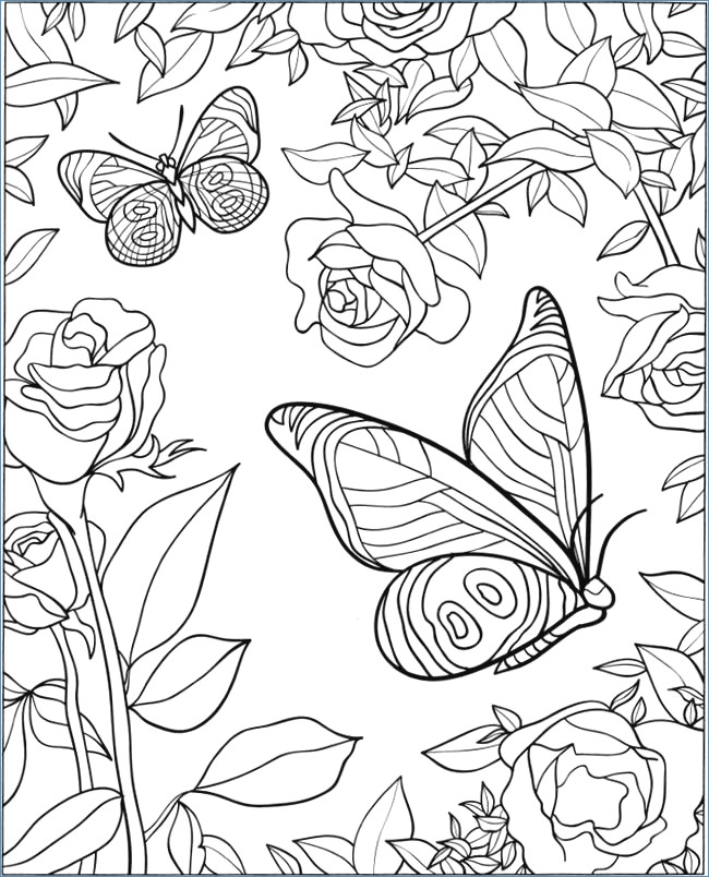 650x804 Encantador Coloring Pages Of Butterflies And Flowers Modelo
