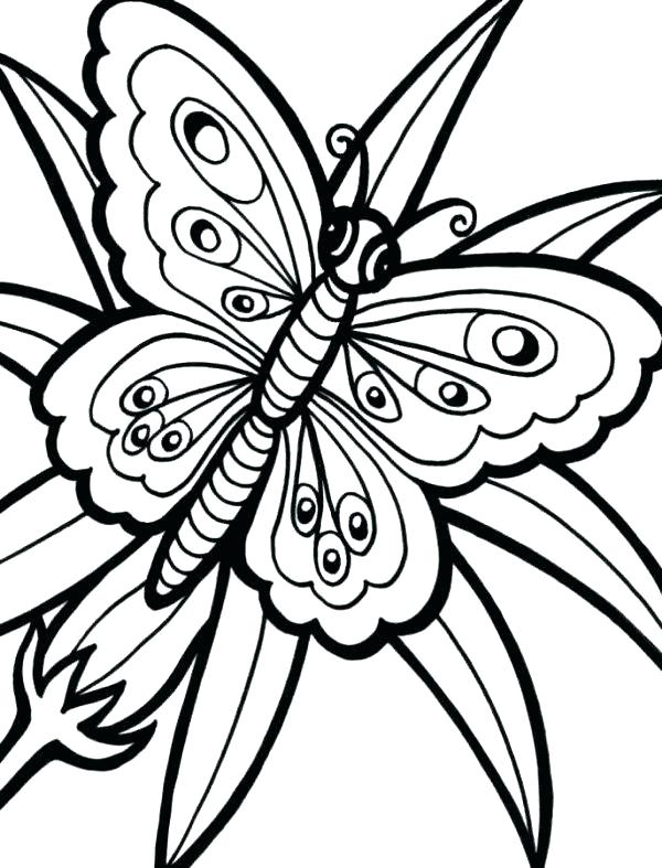 600x787 Printable Coloring Pages Butterflies Coloring Pages