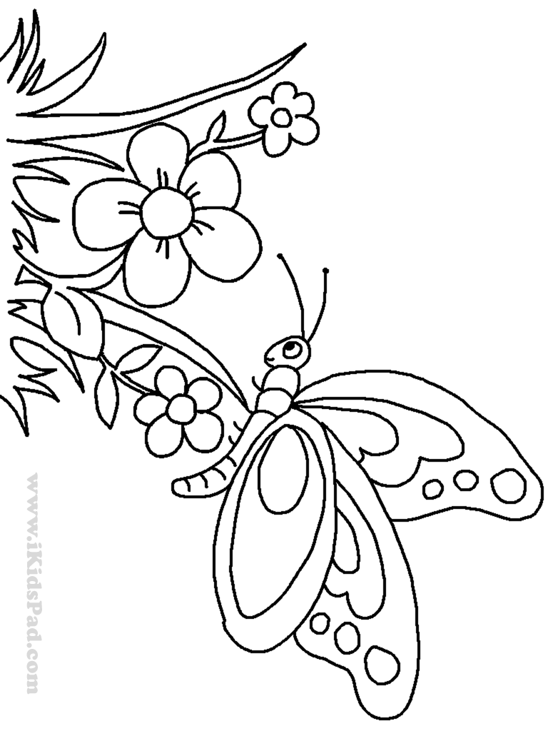 768x1024 Printable Coloring Pages Of Flowers And Butterflies