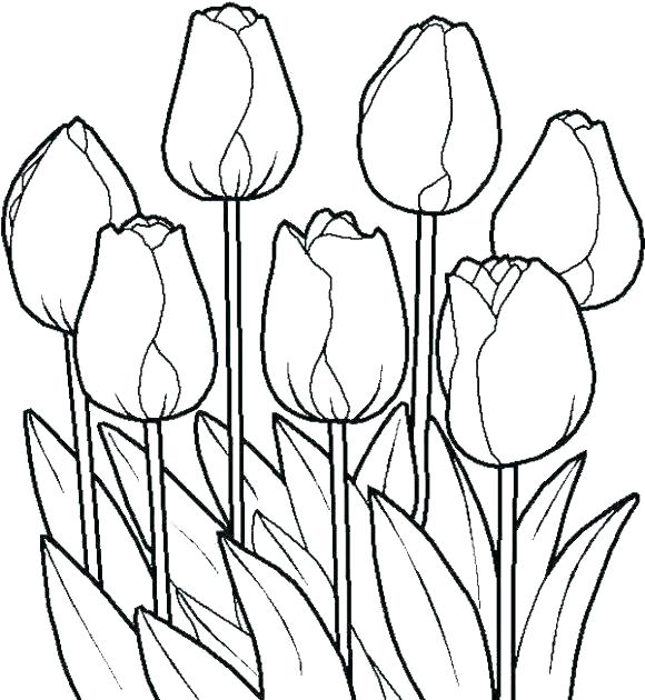580x630 Coloring Pages Flowers And Butterflies Deepart