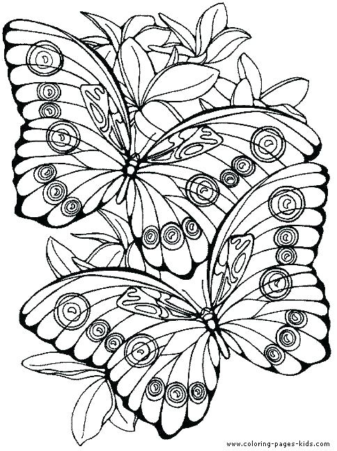 484x648 Flowers And Butterflies Coloring Pages