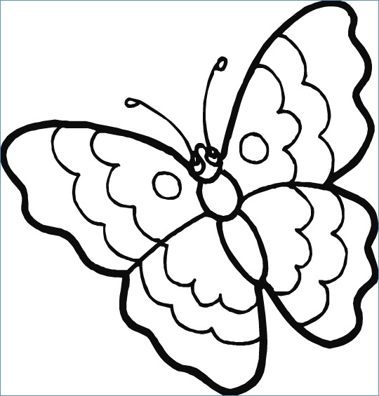 540x565 Butterfly Flower Coloring Pages Cute
