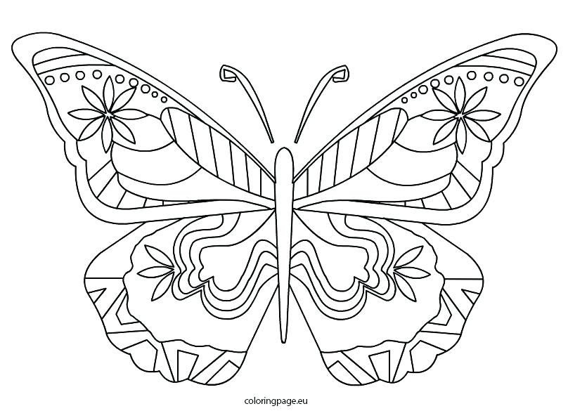 808x595 Butterfly Coloring Pages Pdf Life Cycle Of A Butterfly Coloring
