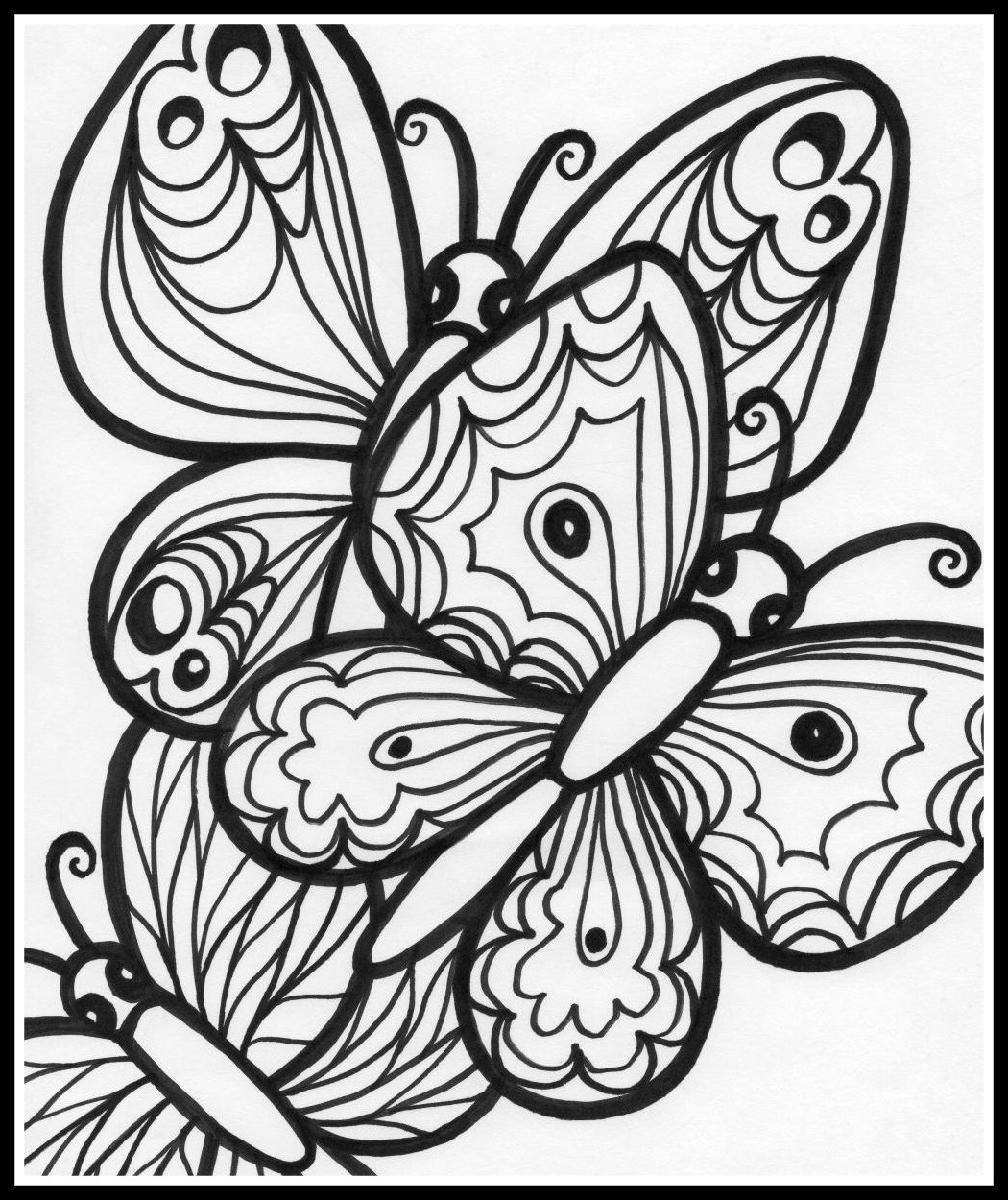 1050x1250 Coloring Pages Of The Butterfly Life Cycle
