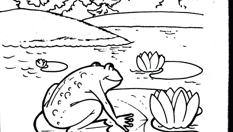 960x544 Monarch Butterfly Life Cycle Coloring Page Pages