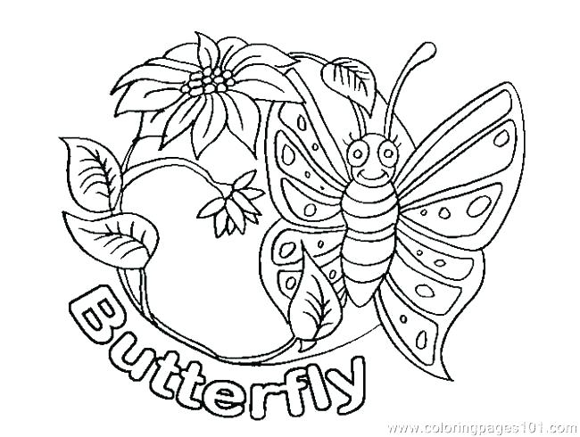650x490 Small Butterfly Coloring Pages Printable Butterfly Life Cycle