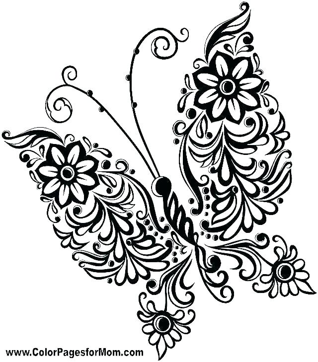 640x729 Butterfly Page To Color