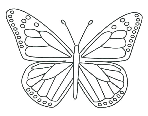600x470 Butterfly Color Page Butterfly Life Cycle Coloring Page Coloring