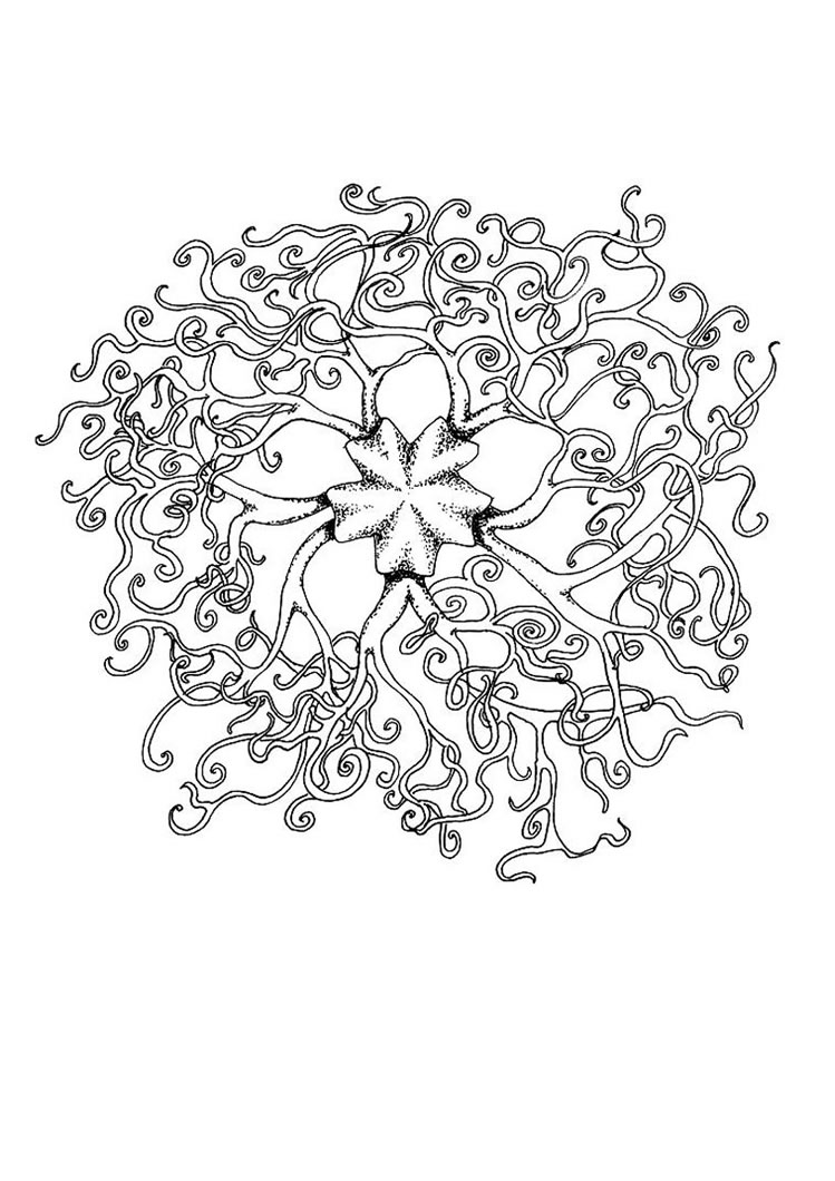 749x1060 Butterfly Mandala Coloring Pages