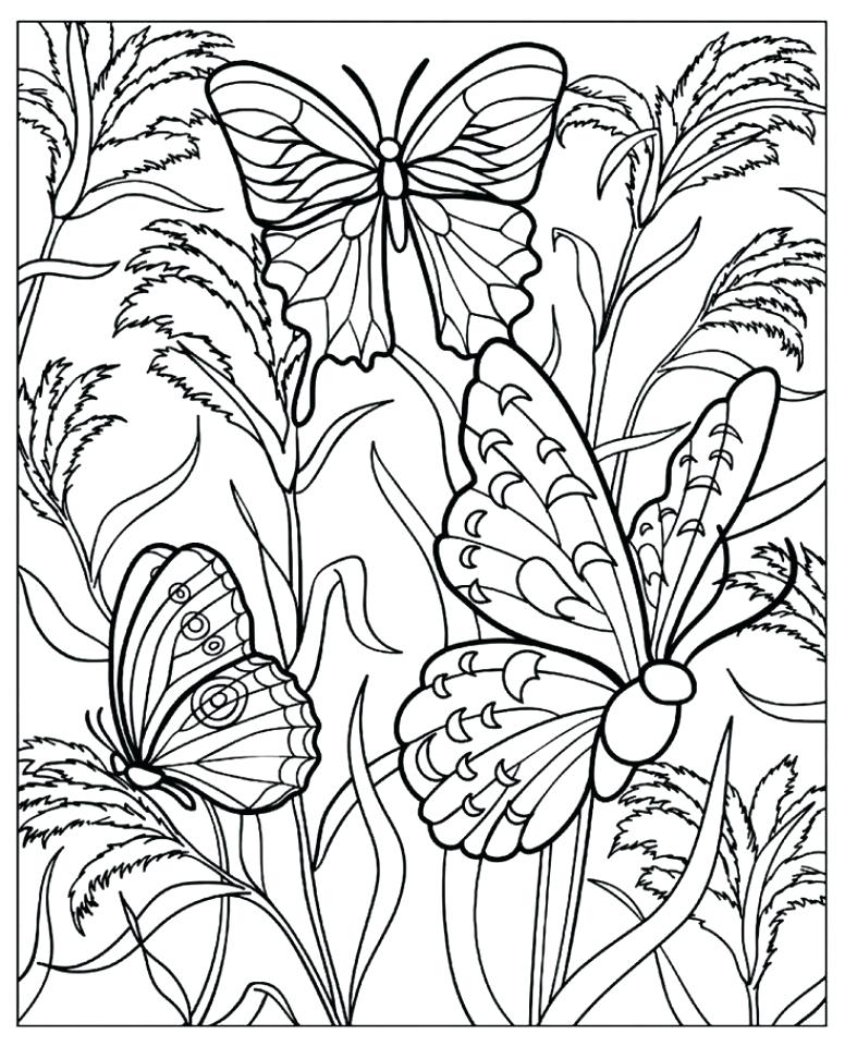 776x960 Printable Butterfly Coloring Pages Click The Monarch Butterfly