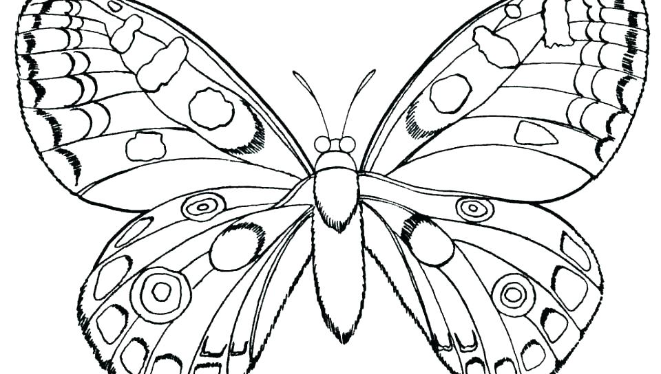 960x544 Butterfly Coloring Page Printable Printable Butterfly Coloring