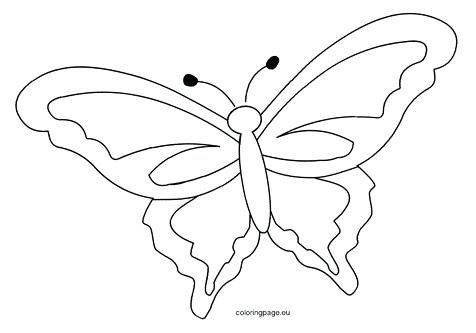 Butterfly Outline Coloring Page at GetDrawings | Free download