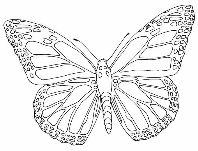 680x517 Insect Coloring Page Butterfly Outline Tattoos Butterfly