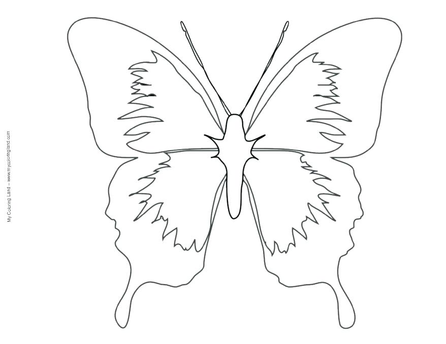 878x678 Share Various Butterfly Mask Printable Template Free Printable