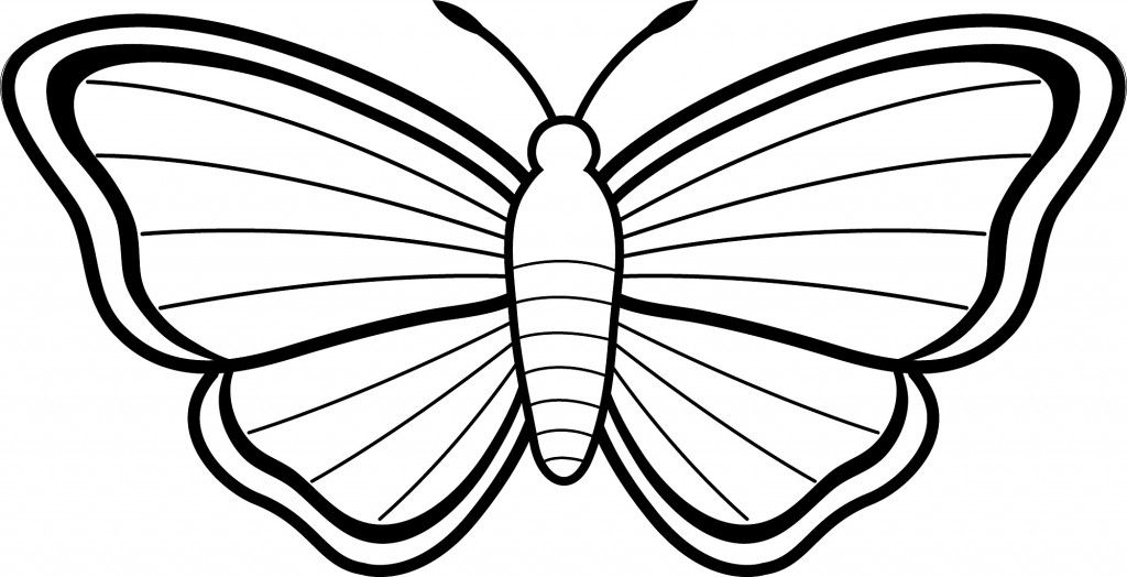 1024x524 Simple Butterfly Coloring Pages Outlines Butterfly