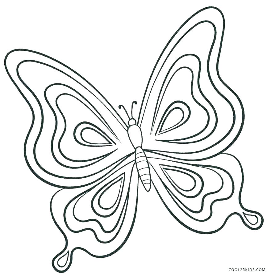878x893 Butterfly Cutout Template Butterfly Shapes Printable Templates