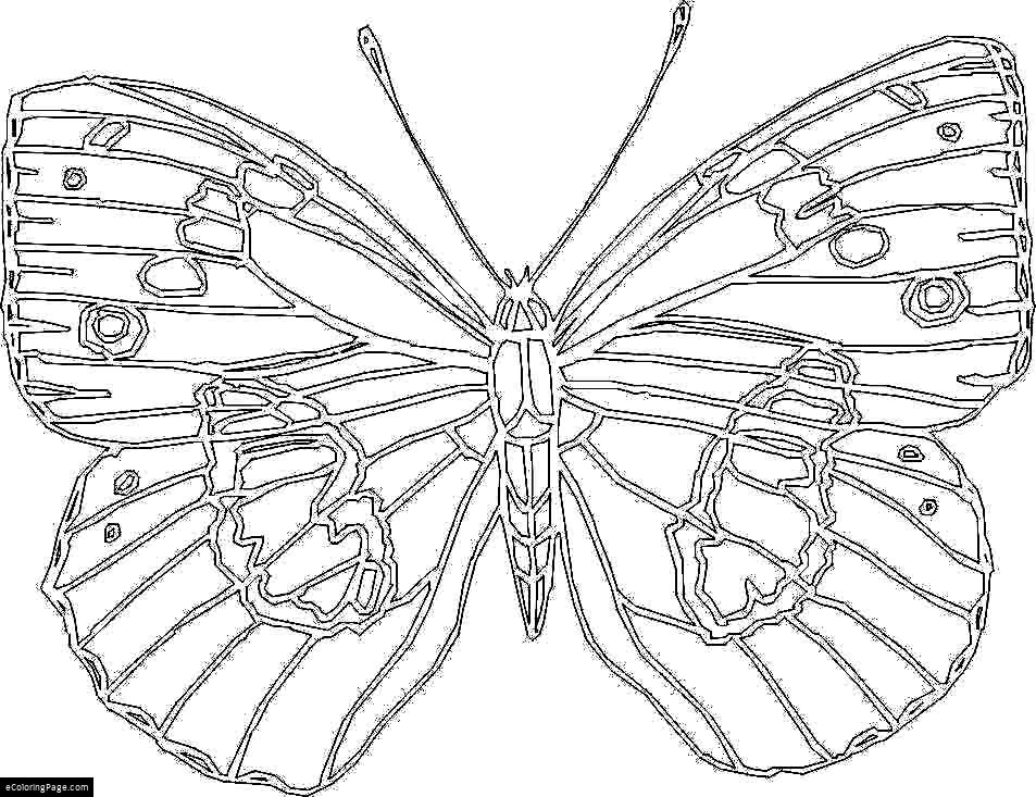 953x733 Large Printable Coloring Pages, Princess Coloring Pages Free